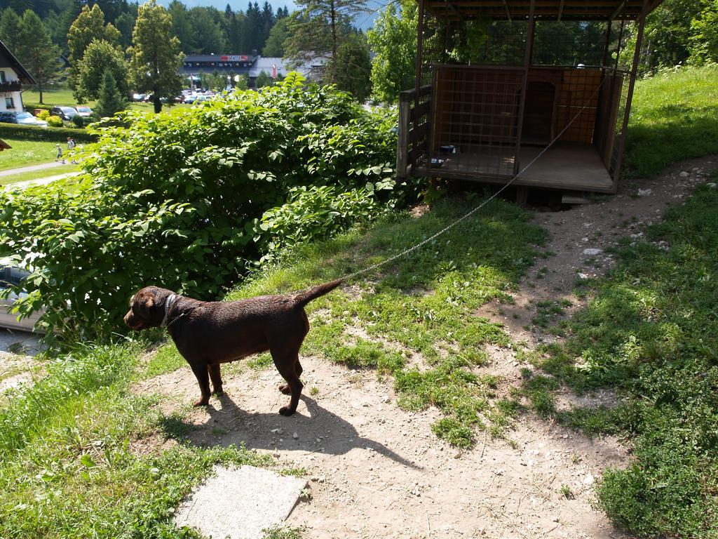 Penzion Rozic Bed & Breakfast Bohinj Exterior photo