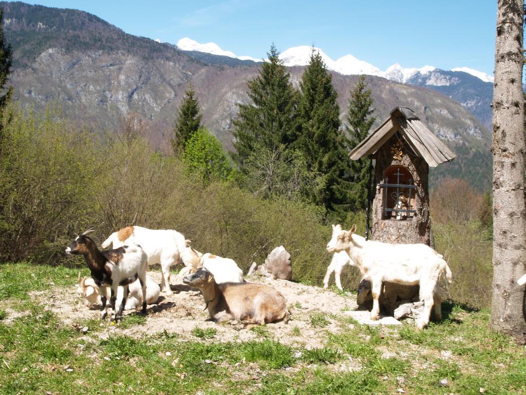 Penzion Rozic Bed & Breakfast Bohinj Exterior photo